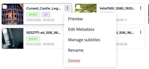 Manage subtitles in the video menu